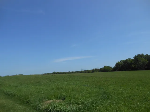 a view of yard with ocean view