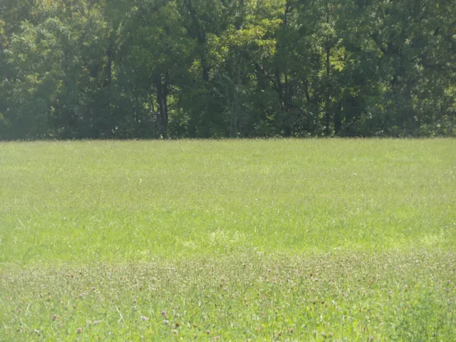 a view of wooden floor and a yard