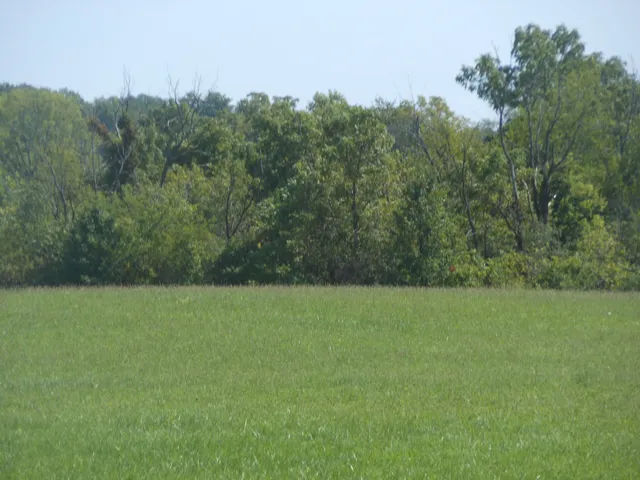 a view of a field with trees in the background