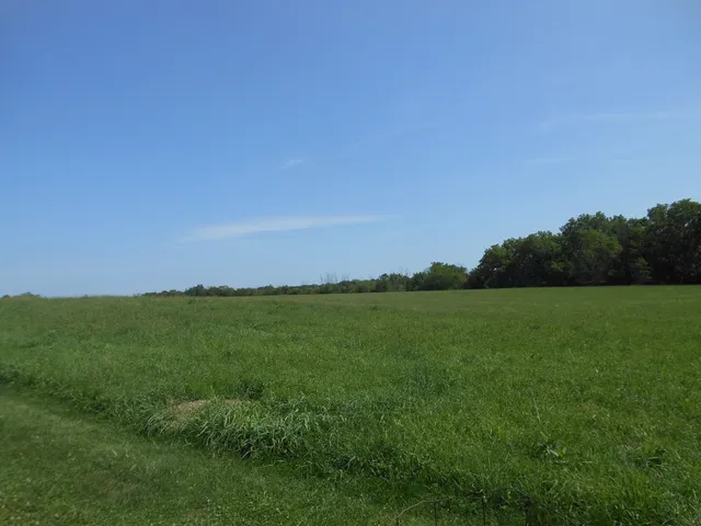 a view of field with grass and trees