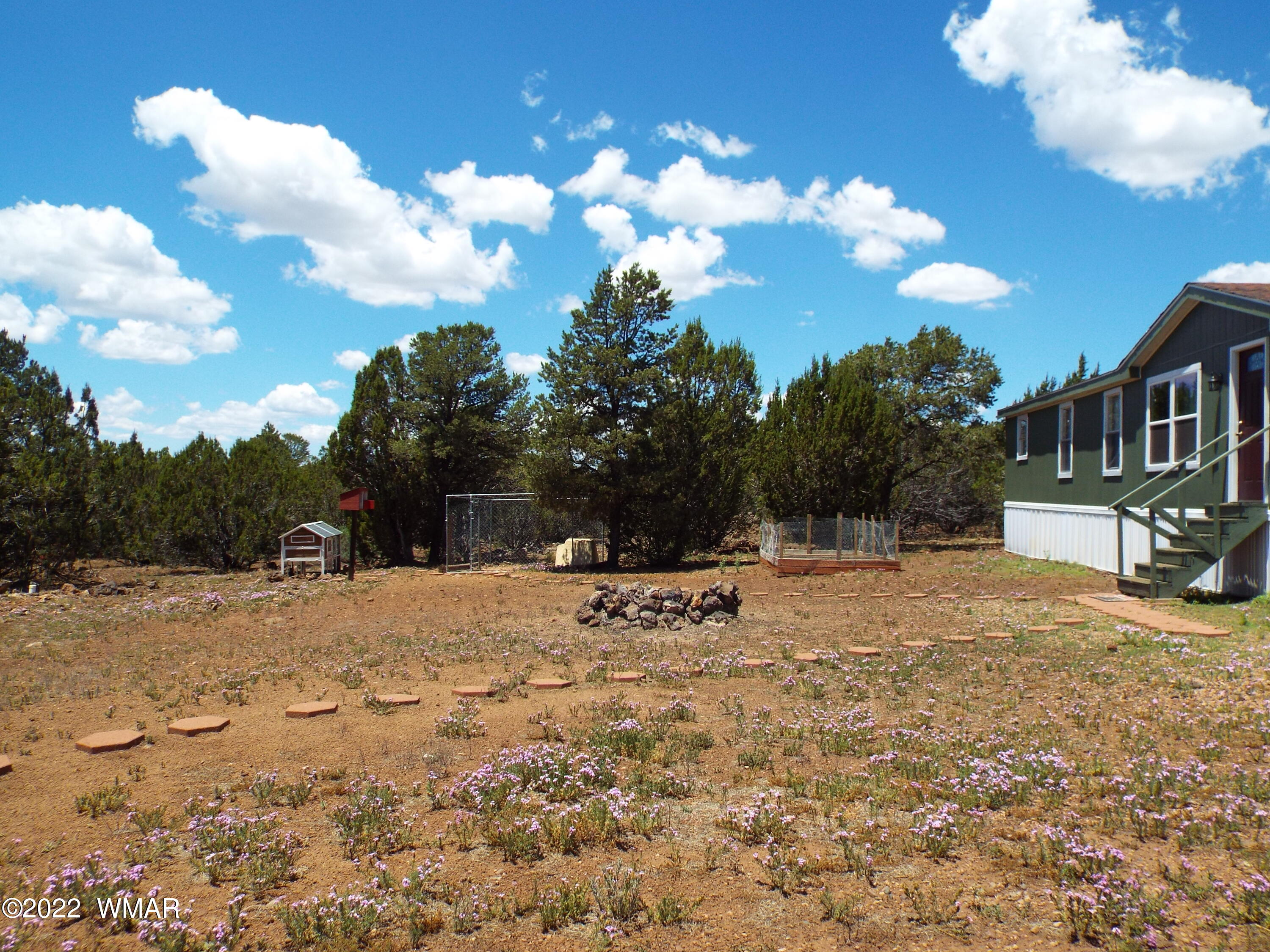 61 County Road Show Low, AZ 85901 - Photo 4 of 47