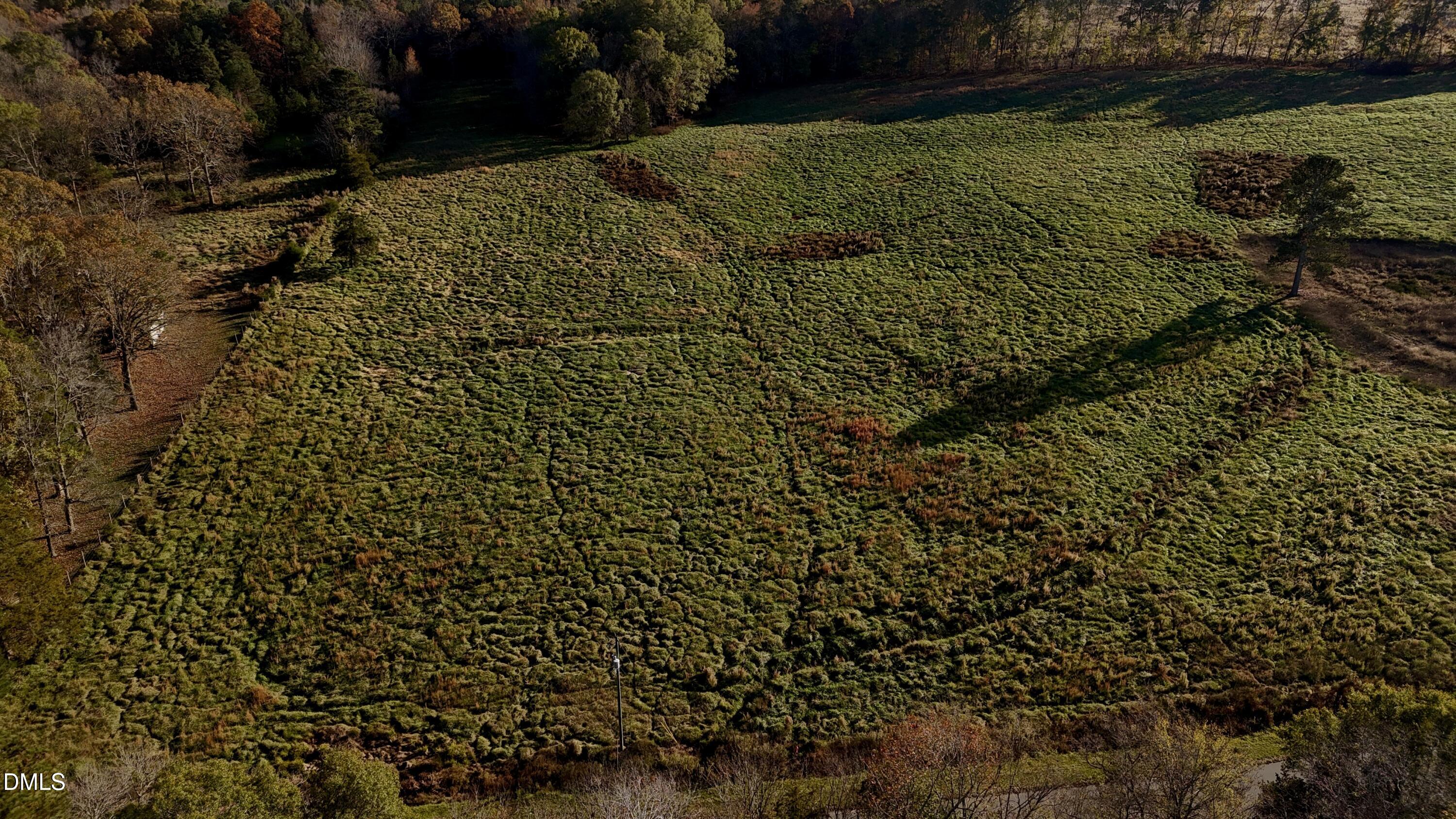 321 Gilliland Road Siler City, NC 27344 - Photo 8 of 15 a view of a lake view