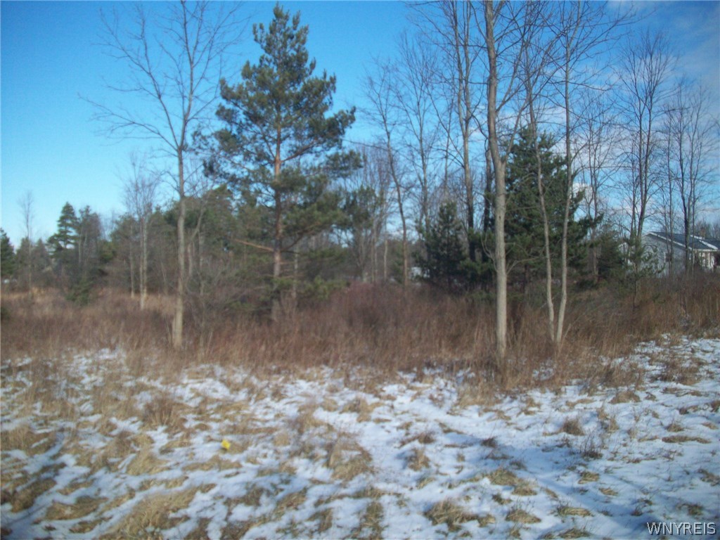 0 Two Rod Road Marilla, NY 14102 - Photo 1 of 1 Gallery Image 1