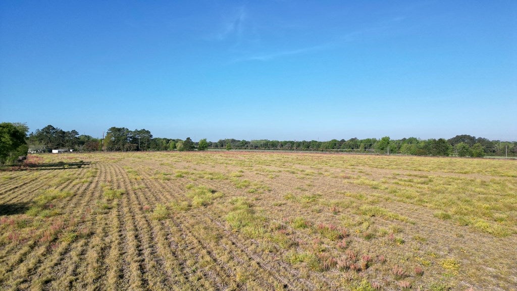 Vacant Hempstead Church Road Moultrie, GA 31788 - Photo 13 of 19 Gallery Image 13
