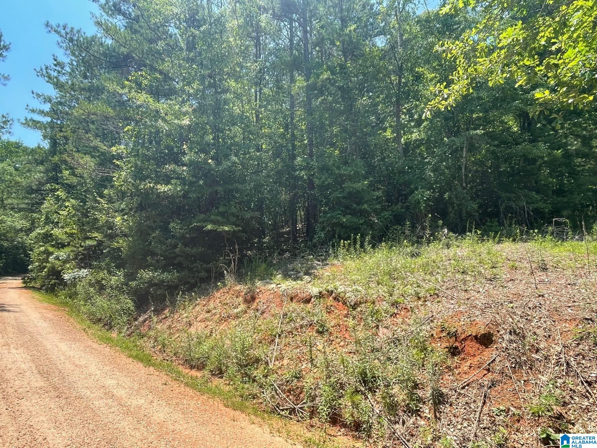 264 County Road 1 North, Unit 4 Jones, AL 36749 - Photo 1 of 3