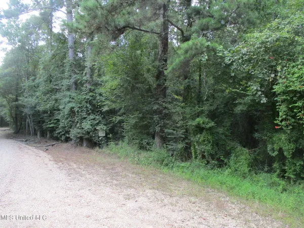 $723,600 | Belle Gardner Road, Amite, LA 70422
