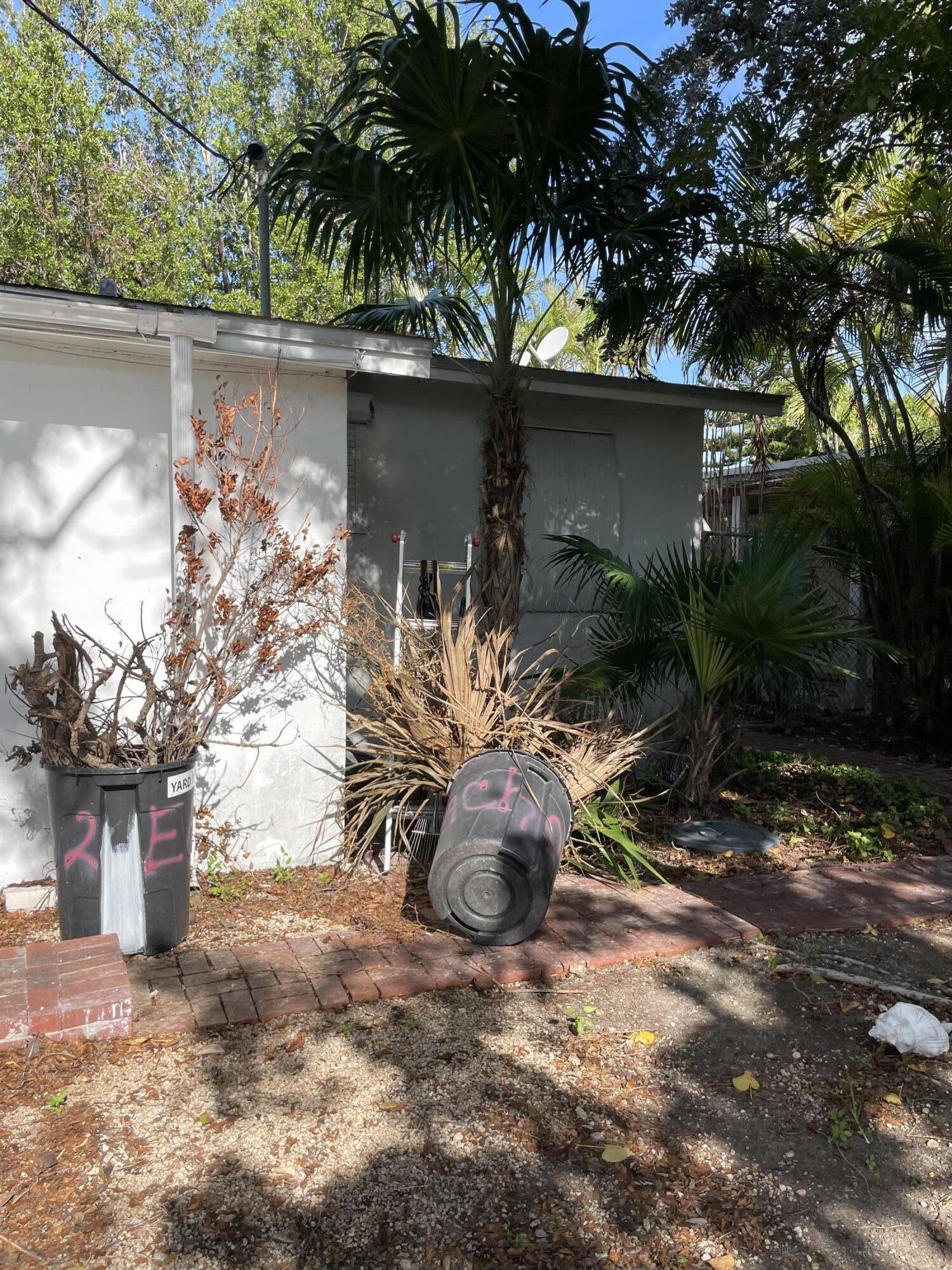 a view of a yard with potted plants and large trees