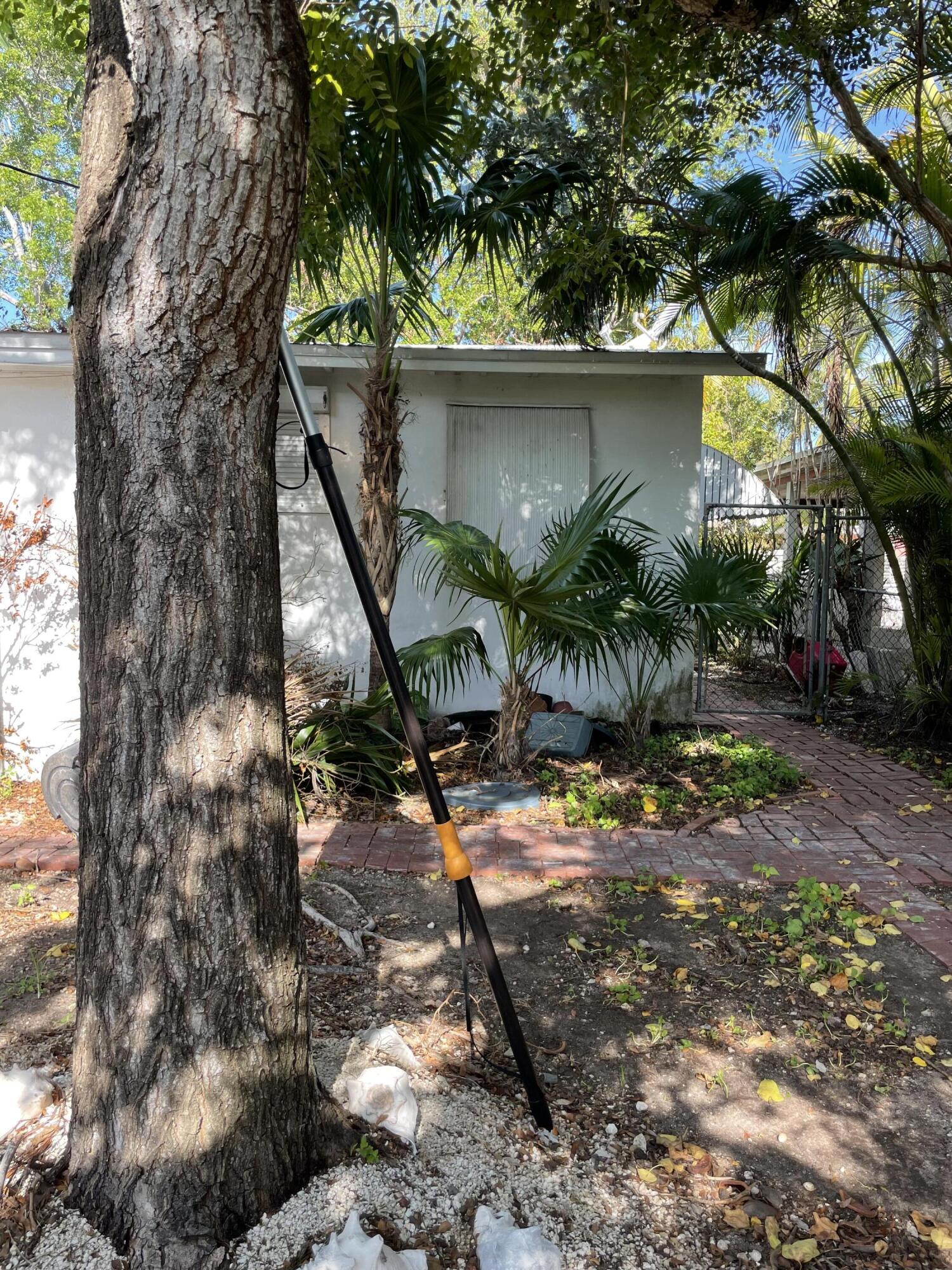 1716 Laird Street Key West, FL 33040 - Photo 9 of 32 a backyard of a house with lots of green space