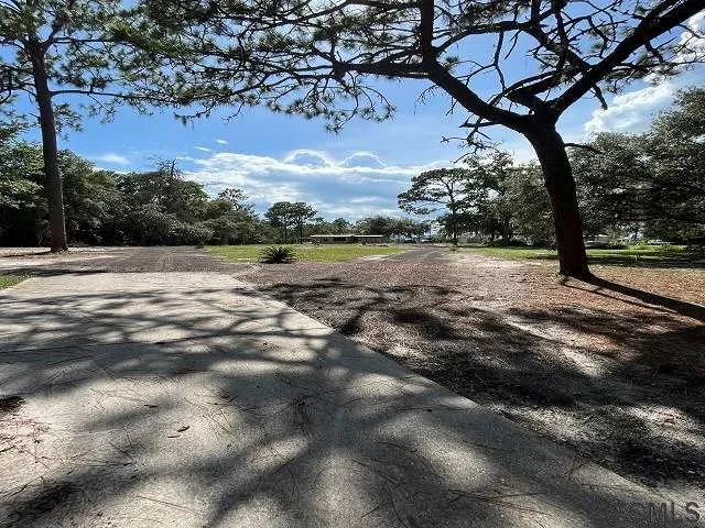 a view of dirt yard with a tree