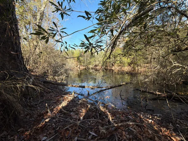 $49,900 | 7 Brunson Teal Road, Patrick, SC 29584