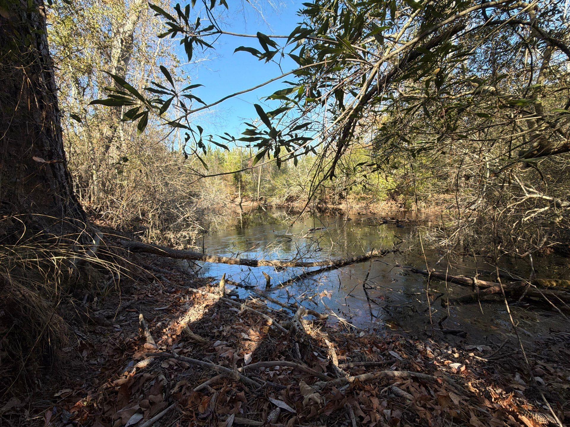7 Brunson Teal Road Patrick, SC 29584 - Photo 1 of 24 9-Jan 28 2026 07_36pm-3Ujx