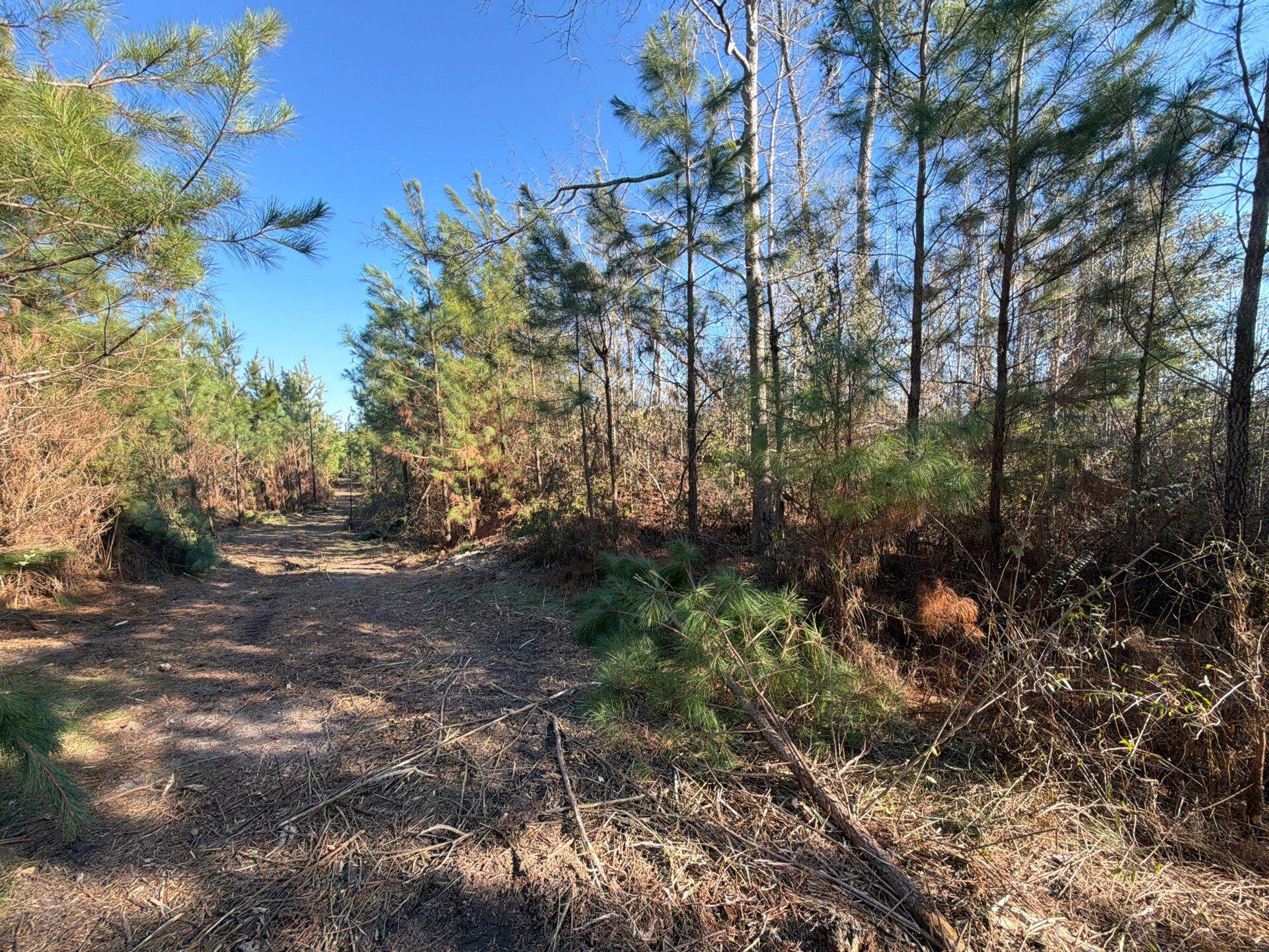 7 Brunson Teal Road Patrick, SC 29584 - Photo 12 of 24 38-Jan 28 2026 08_02pm-R57j