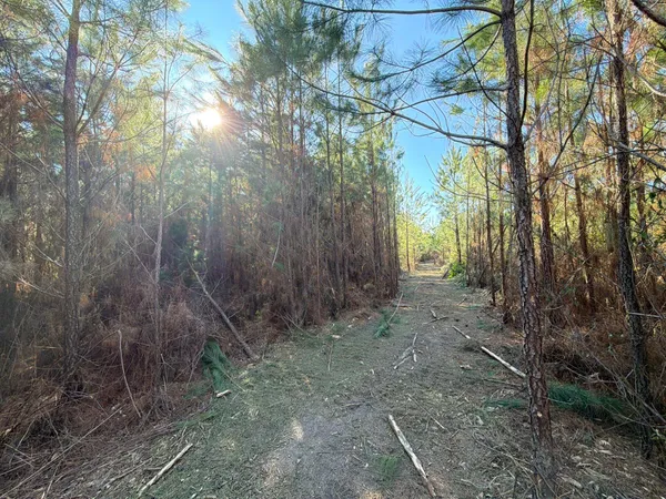 $49,900 | 7 Brunson Teal Road, Patrick, SC 29584