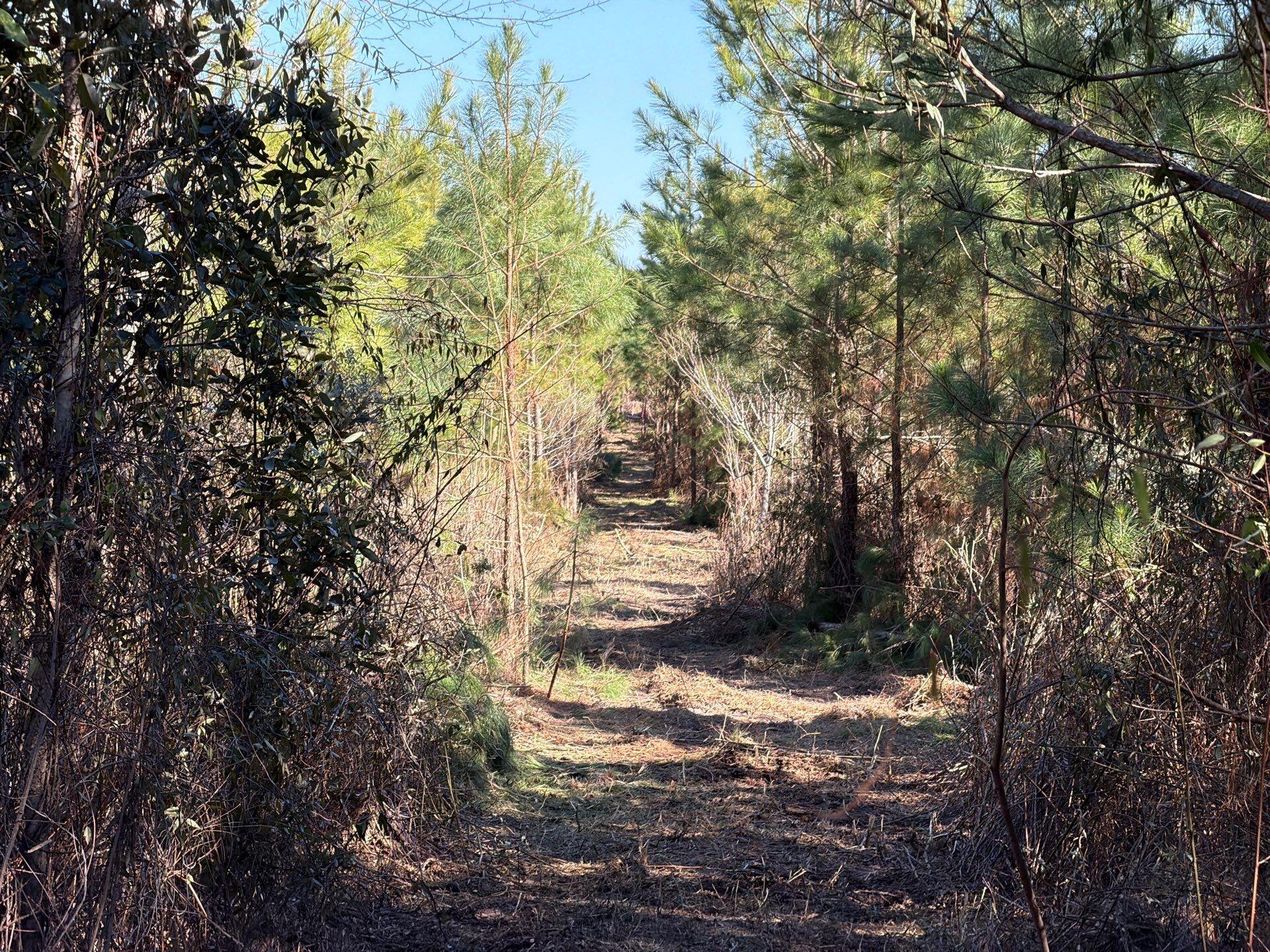 7 Brunson Teal Road Patrick, SC 29584 - Photo 22 of 24 5-Jan 28 2026 07_32pm-K6AD