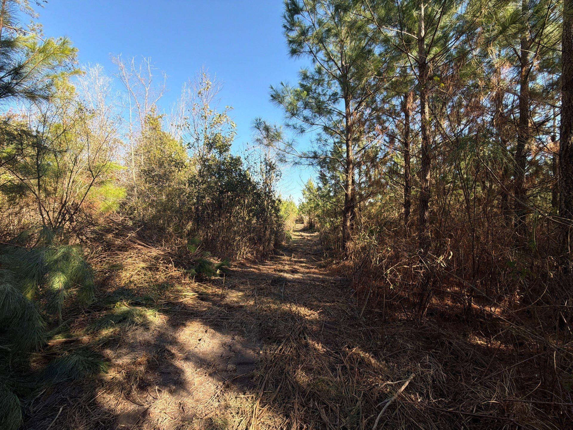 7 Brunson Teal Road Patrick, SC 29584 - Photo 23 of 24 3-Jan 28 2026 07_32pm-E8BJ