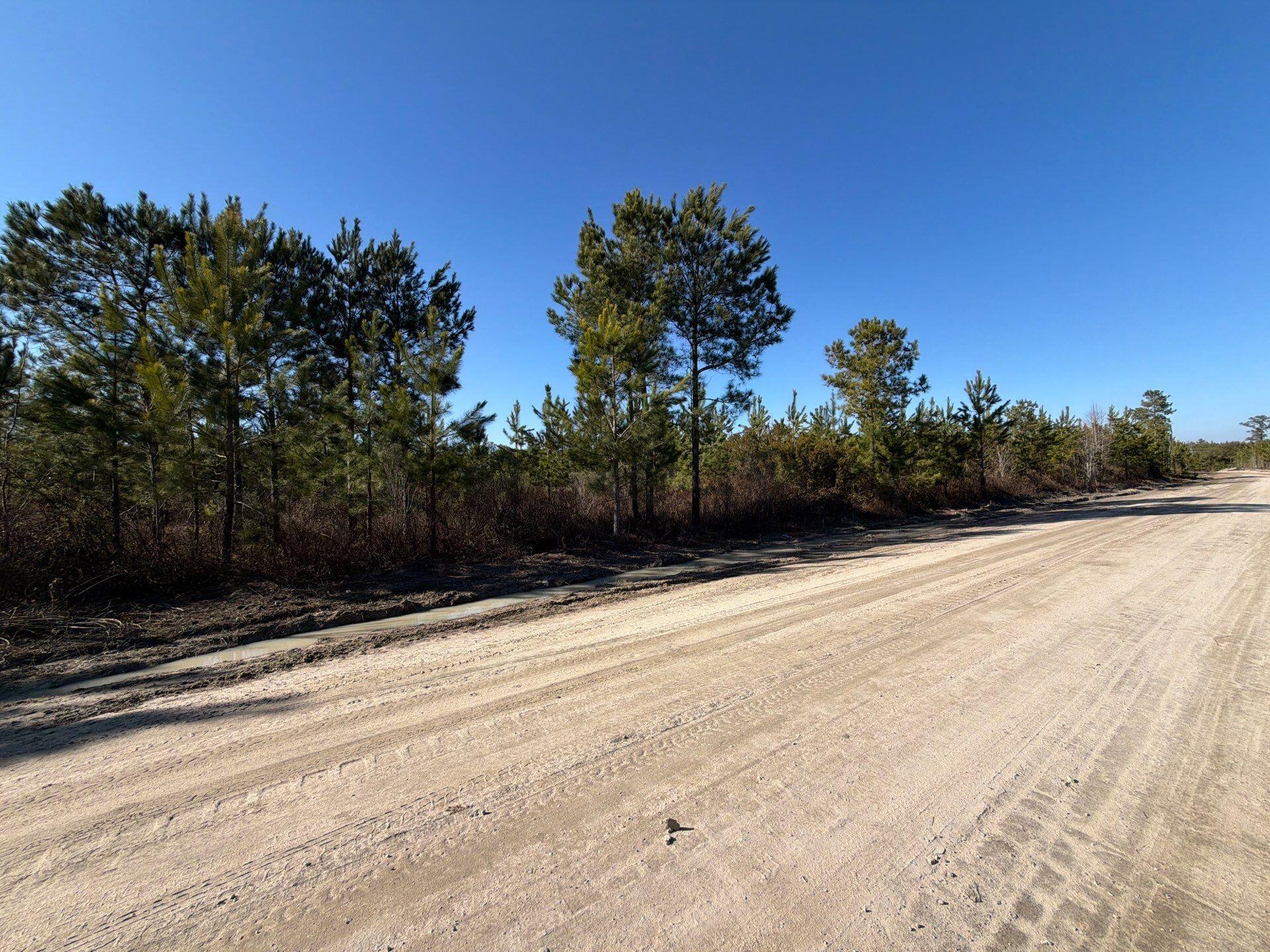 7 Brunson Teal Road Patrick, SC 29584 - Photo 4 of 24 27-Jan 28 2026 07_50pm-5rYZ