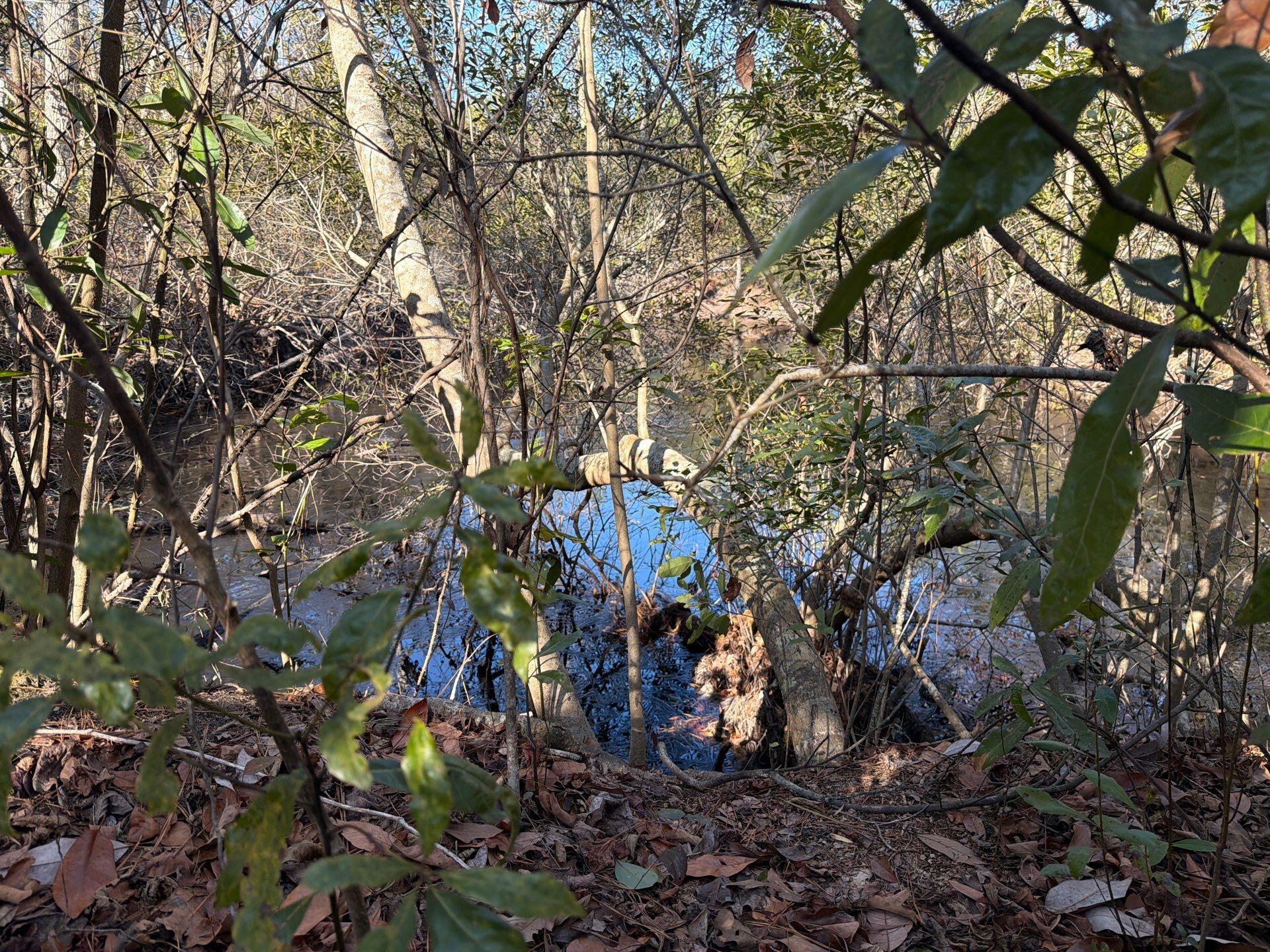 7 Brunson Teal Road Patrick, SC 29584 - Photo 5 of 24 6-Jan 28 2026 07_34pm-XaY5