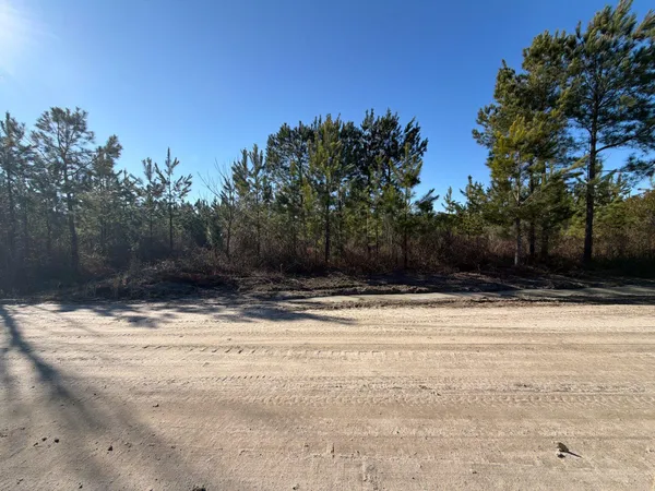 $49,900 | 7 Brunson Teal Road, Patrick, SC 29584