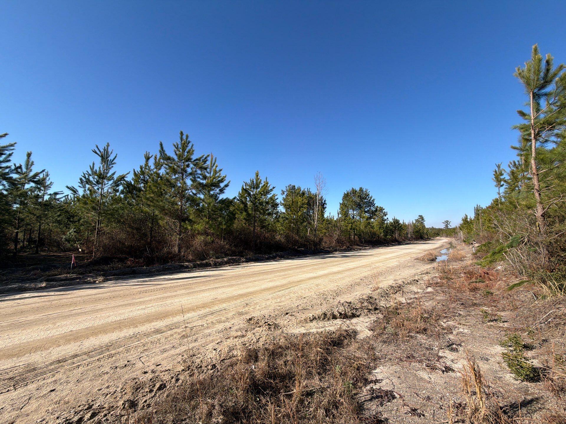 7 Brunson Teal Road Patrick, SC 29584 - Photo 7 of 24 24-Jan 28 2026 07_48pm-1y34