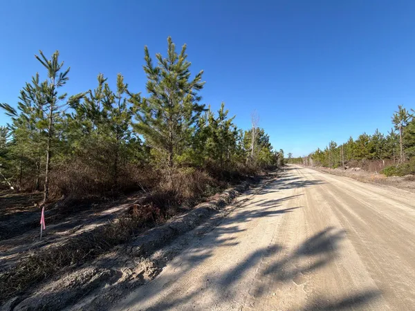 $49,900 | 7 Brunson Teal Road, Patrick, SC 29584