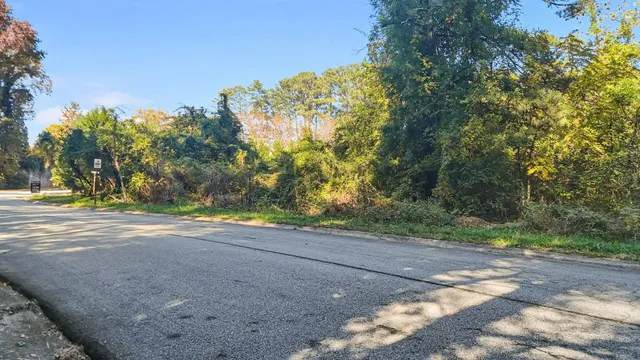 a view of a yard with large trees