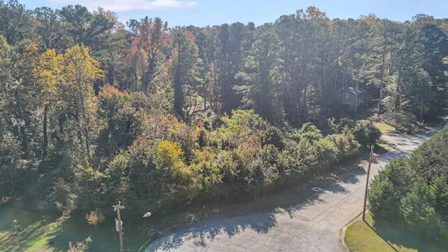 a view of a yard with plants and trees