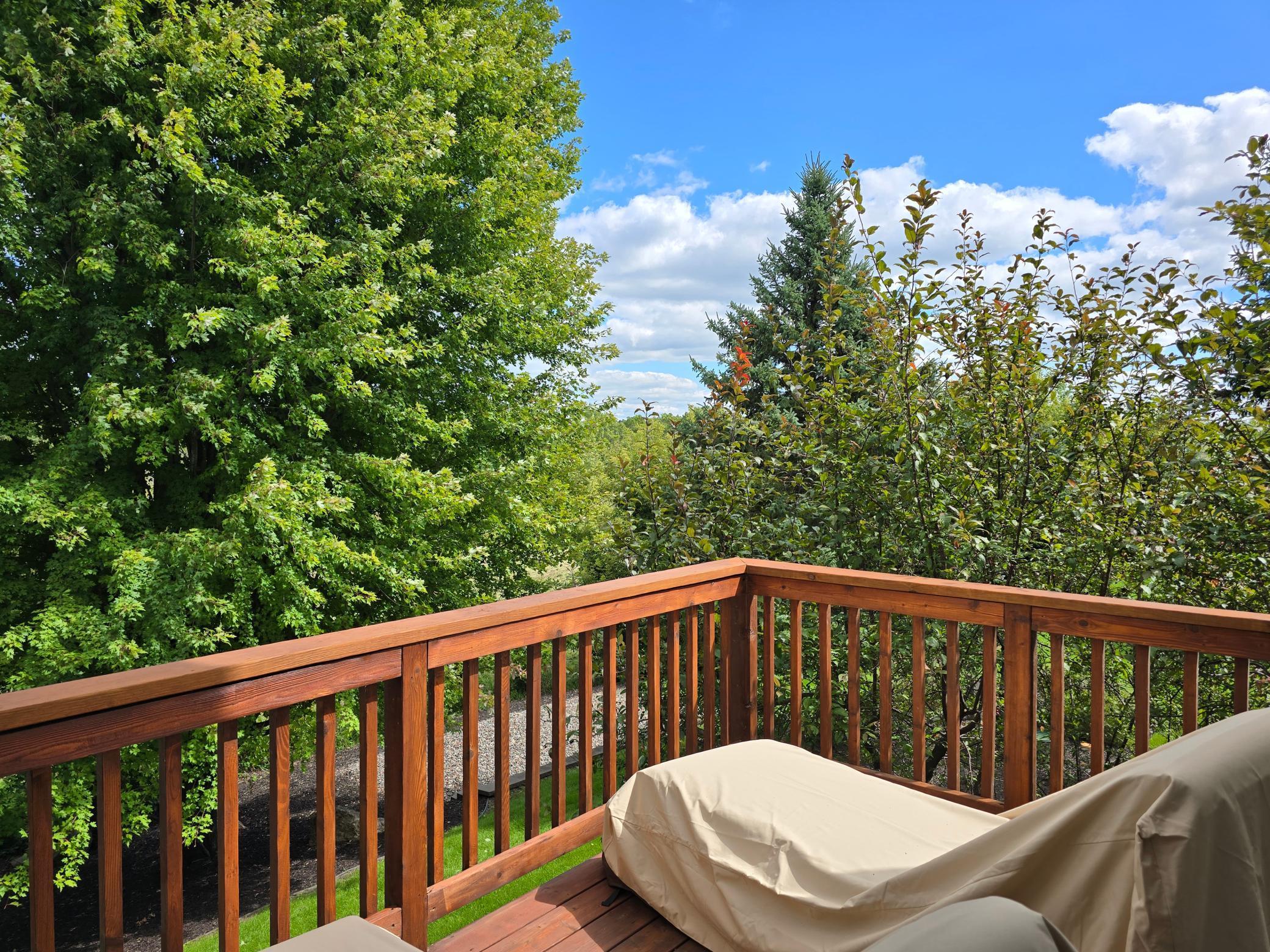 21157 Ridgewood Trail Lakeville, MN 55044 - Photo 20 of 49