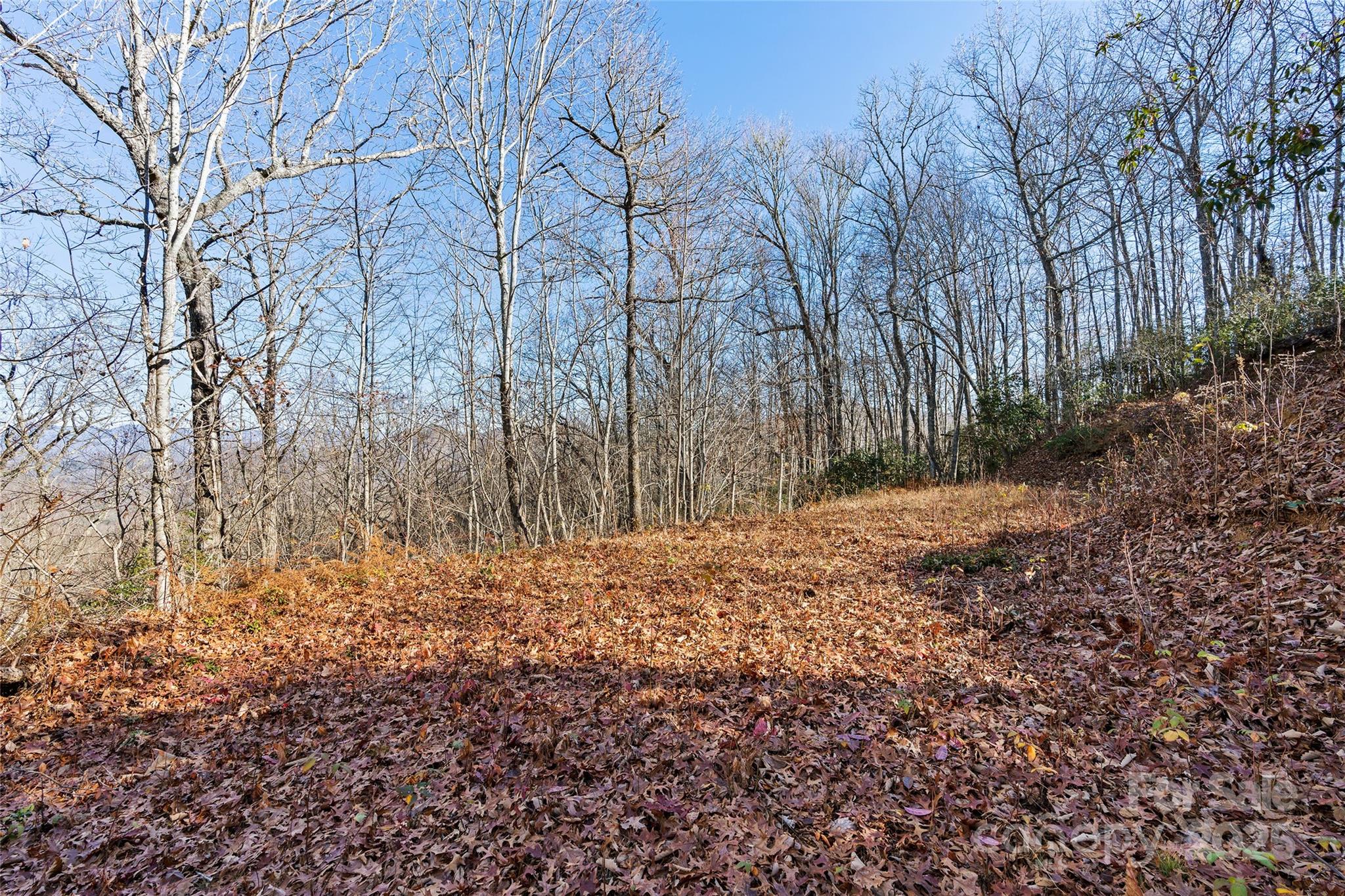 69-81 Winter Moon Ridge Sylva, NC 28779 - Photo 11 of 27 a view of a yard with trees