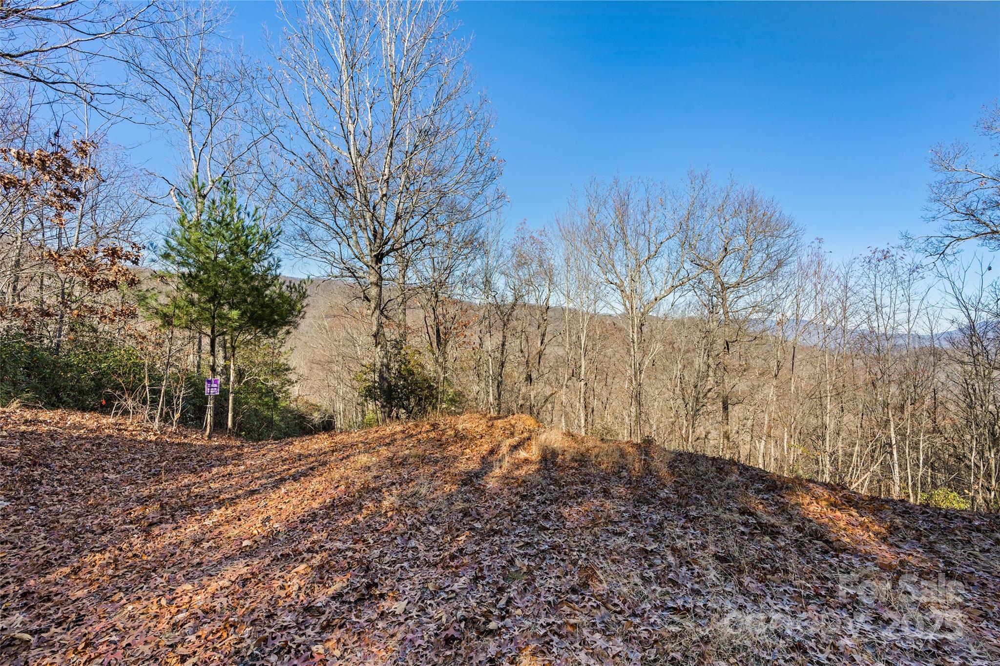 69-81 Winter Moon Ridge Sylva, NC 28779 - Photo 13 of 27 a view of a yard with trees