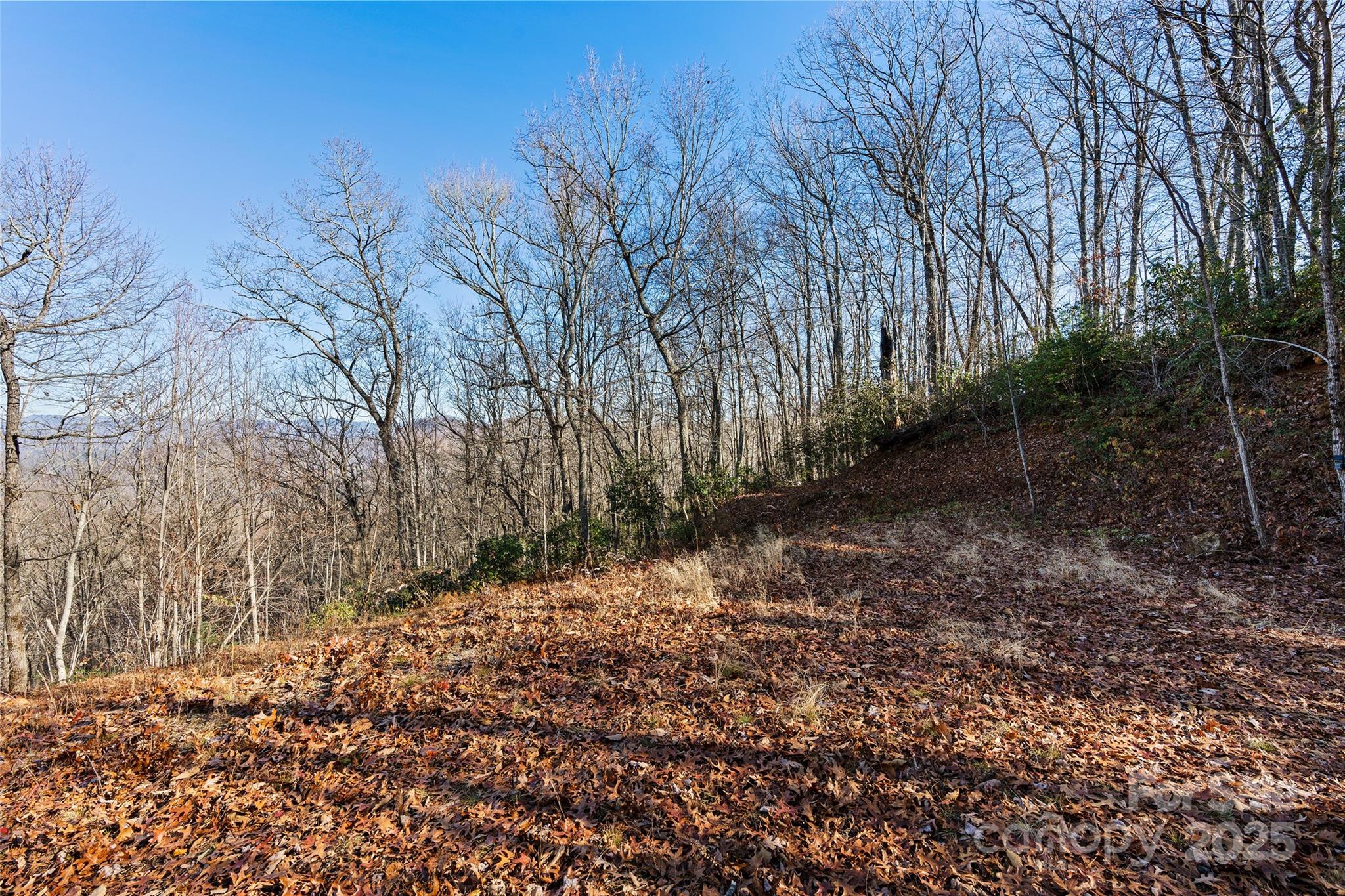 69-81 Winter Moon Ridge Sylva, NC 28779 - Photo 14 of 27 a view of a yard with trees