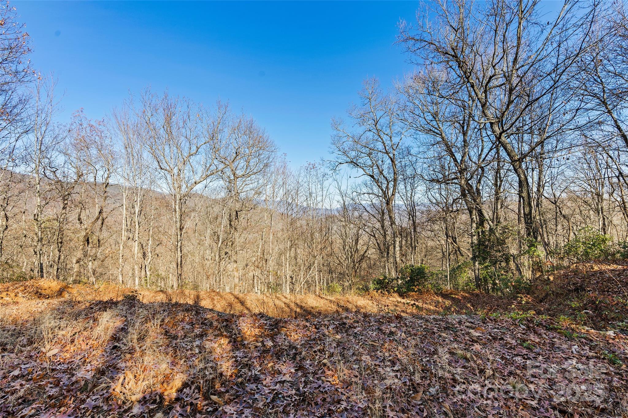 69-81 Winter Moon Ridge Sylva, NC 28779 - Photo 15 of 27 a view of a yard covered with trees