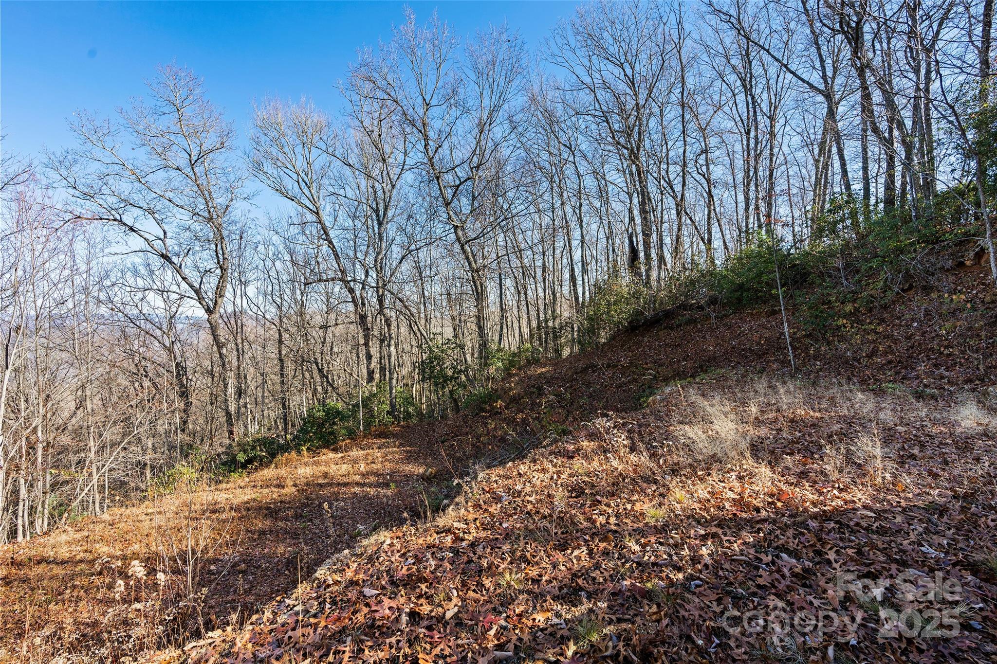 69-81 Winter Moon Ridge Sylva, NC 28779 - Photo 16 of 27 a backyard of a house with lots of green space