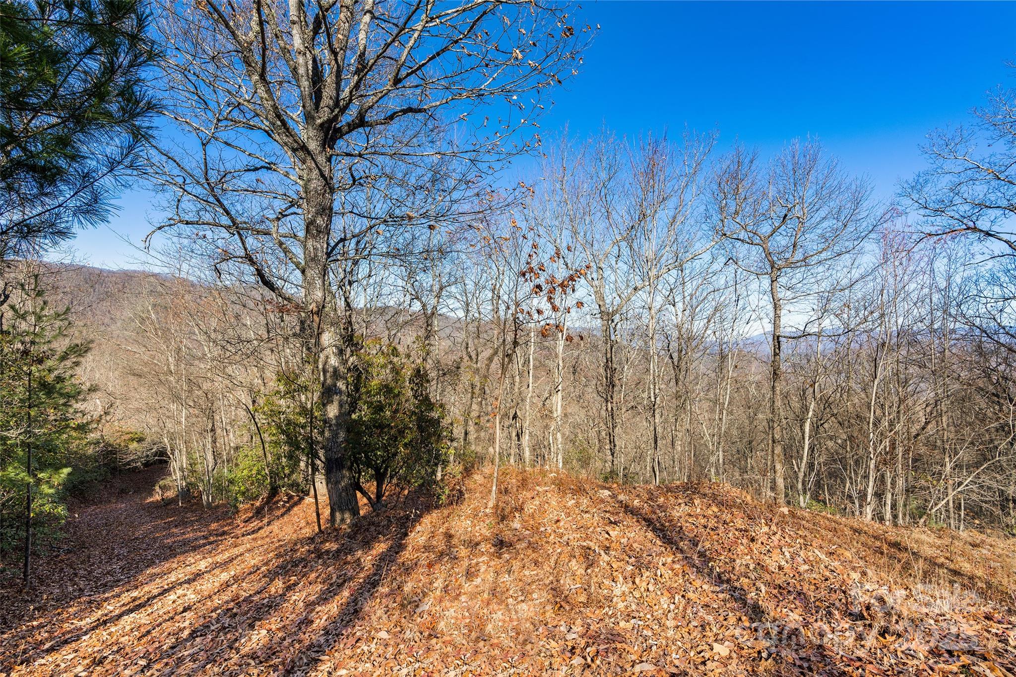 69-81 Winter Moon Ridge Sylva, NC 28779 - Photo 17 of 27 a view of backyard of house