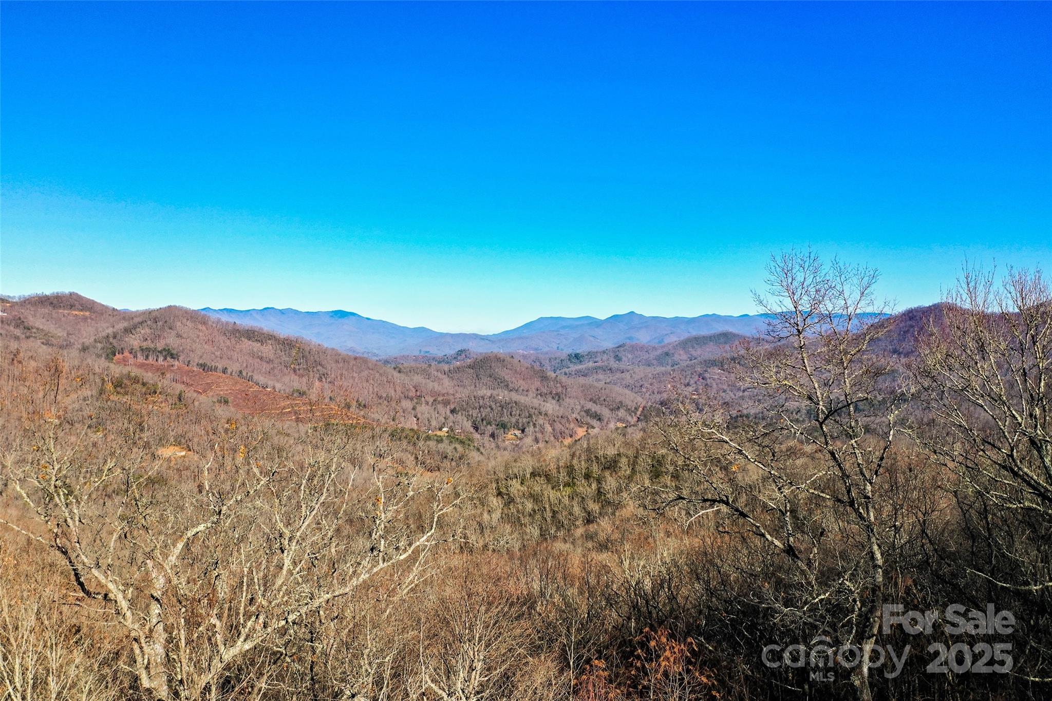 69-81 Winter Moon Ridge Sylva, NC 28779 - Photo 18 of 27 a view of a dry yard with mountains in the background