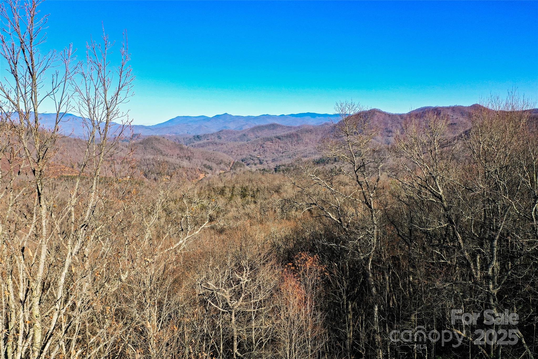 69-81 Winter Moon Ridge Sylva, NC 28779 - Photo 20 of 27
