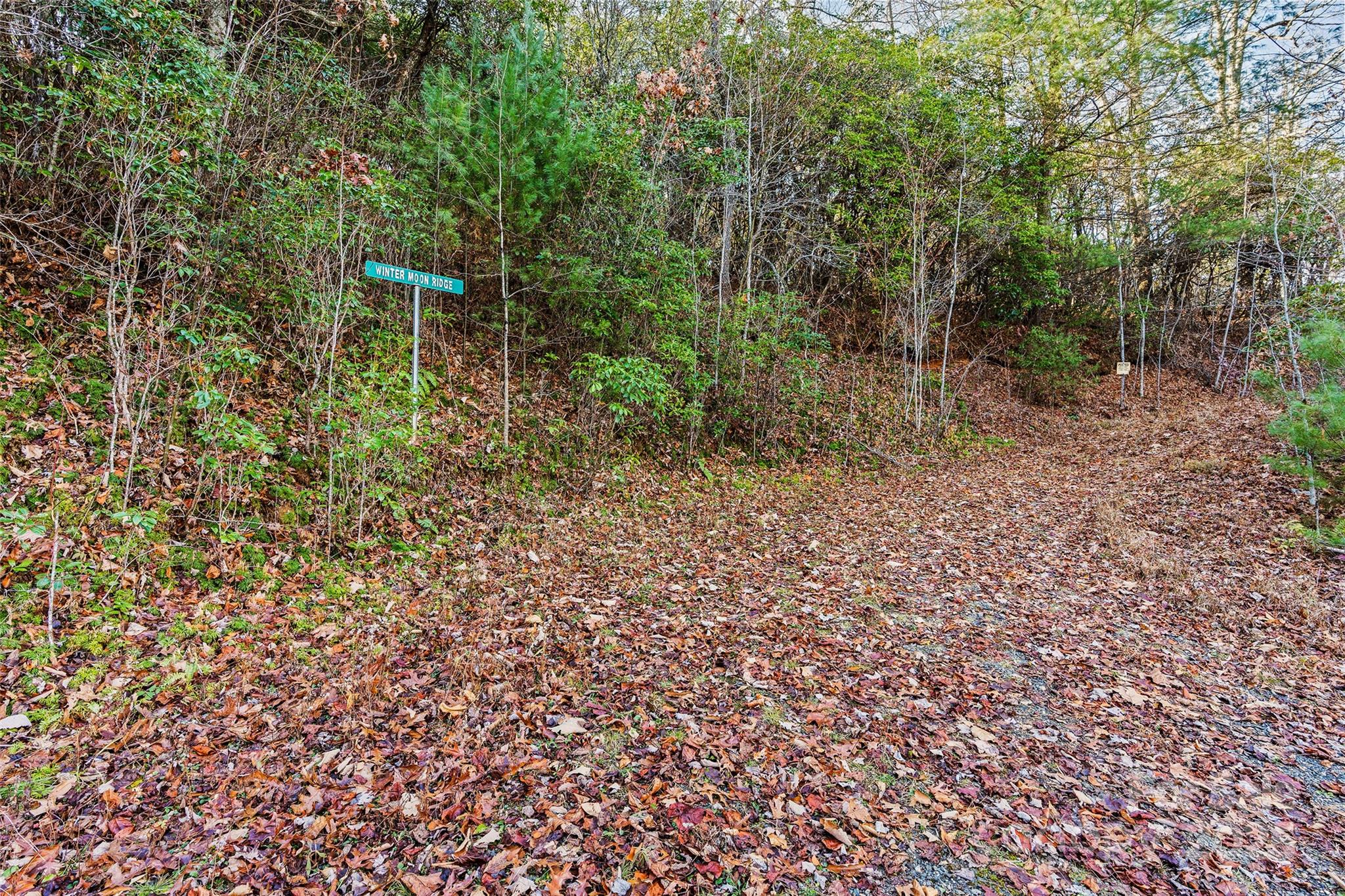 69-81 Winter Moon Ridge Sylva, NC 28779 - Photo 2 of 27 a view of a outdoor space