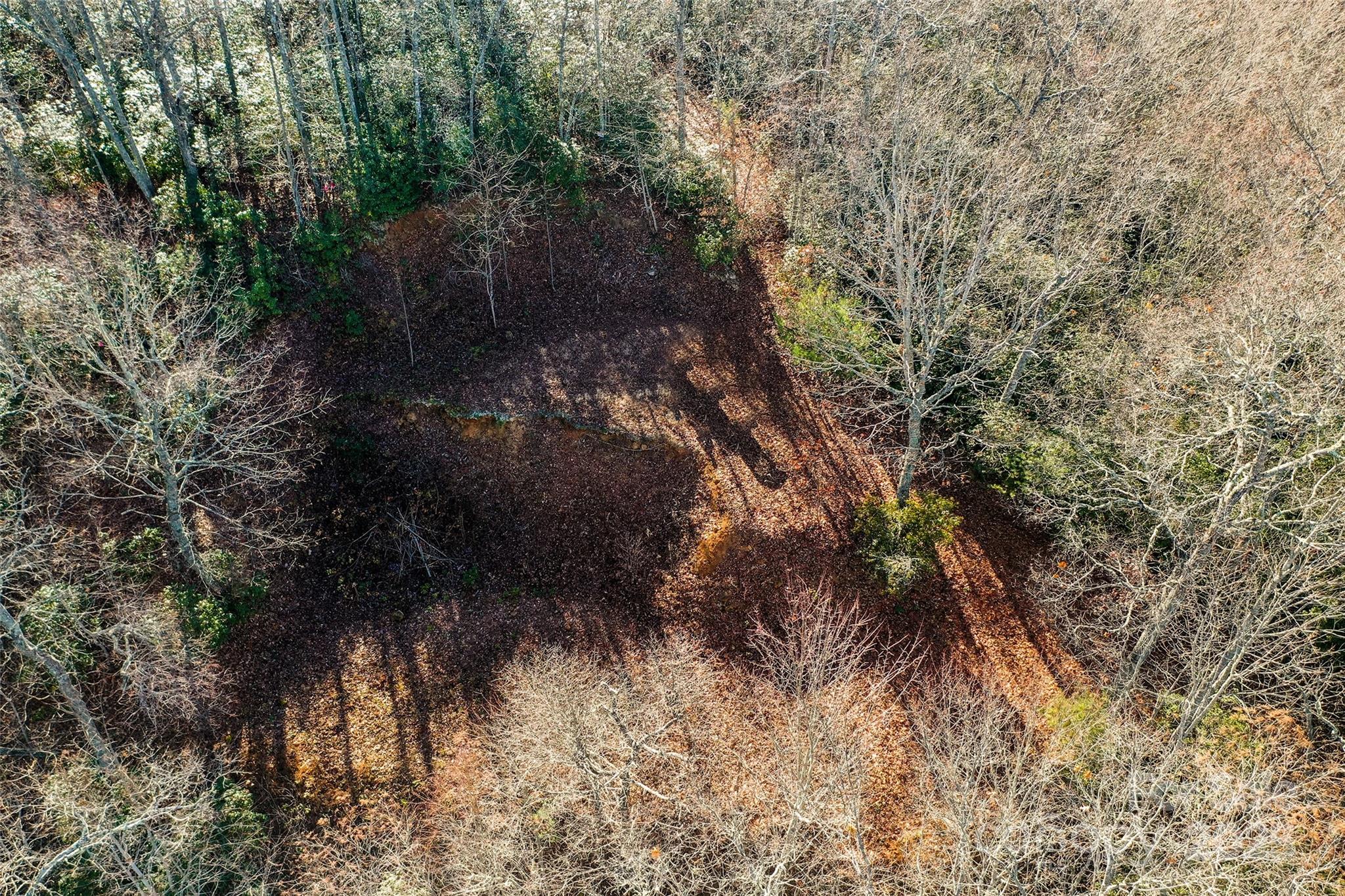 69-81 Winter Moon Ridge Sylva, NC 28779 - Photo 21 of 27 a view of a lot of trees