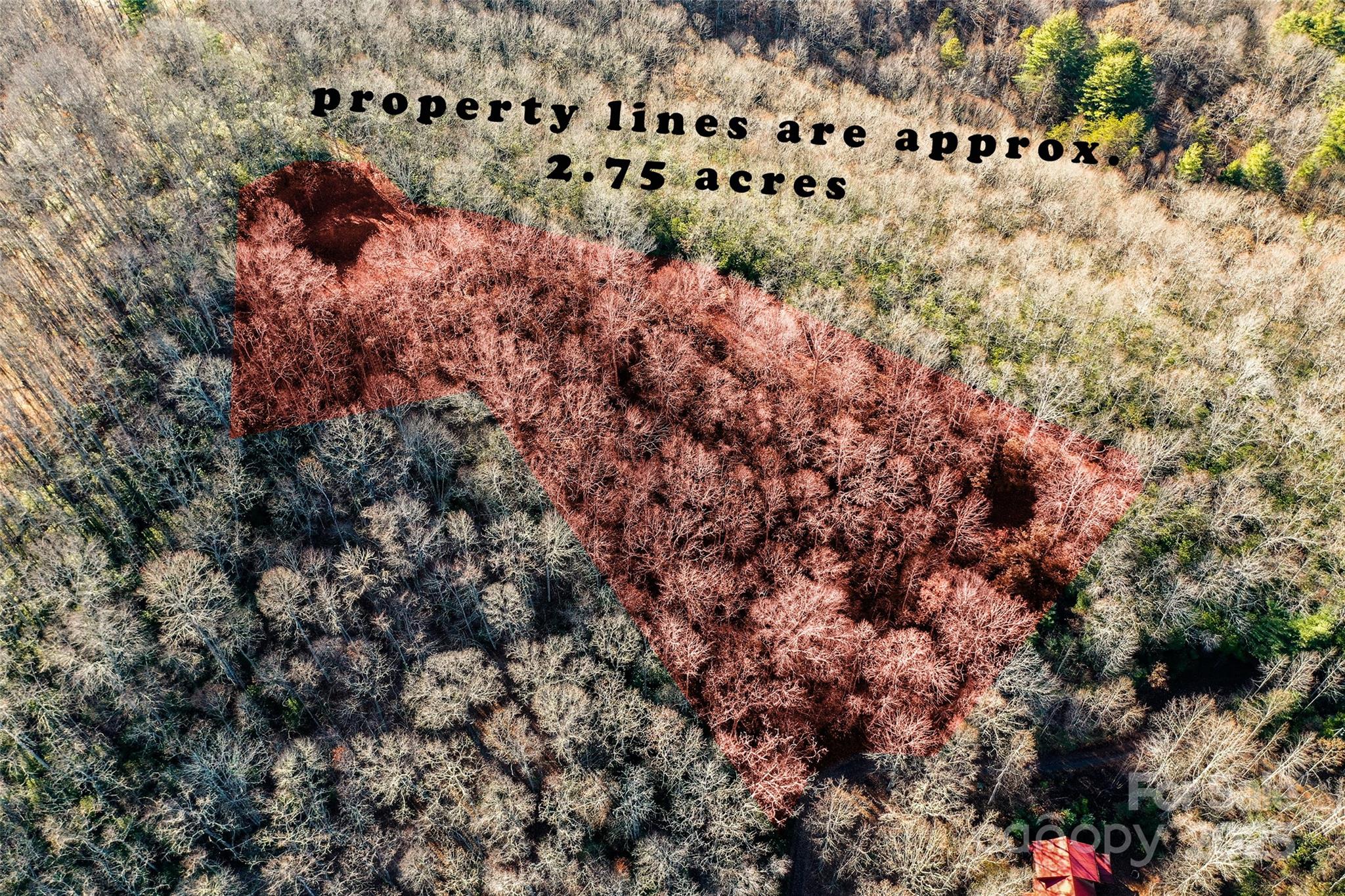 69-81 Winter Moon Ridge Sylva, NC 28779 - Photo 22 of 27 a view of a lots of trees and flowers