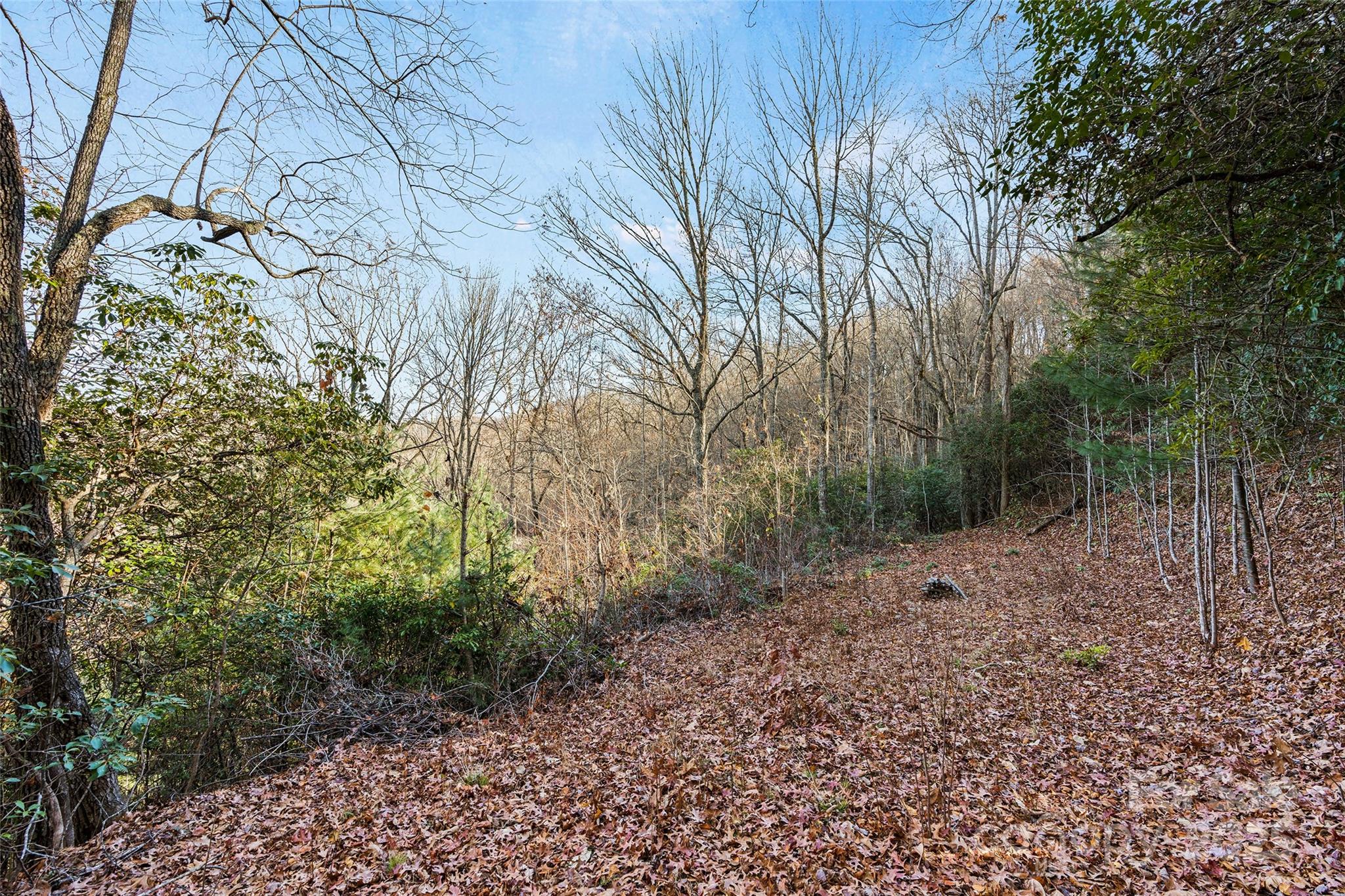 69-81 Winter Moon Ridge Sylva, NC 28779 - Photo 5 of 27 a view of a forest with trees
