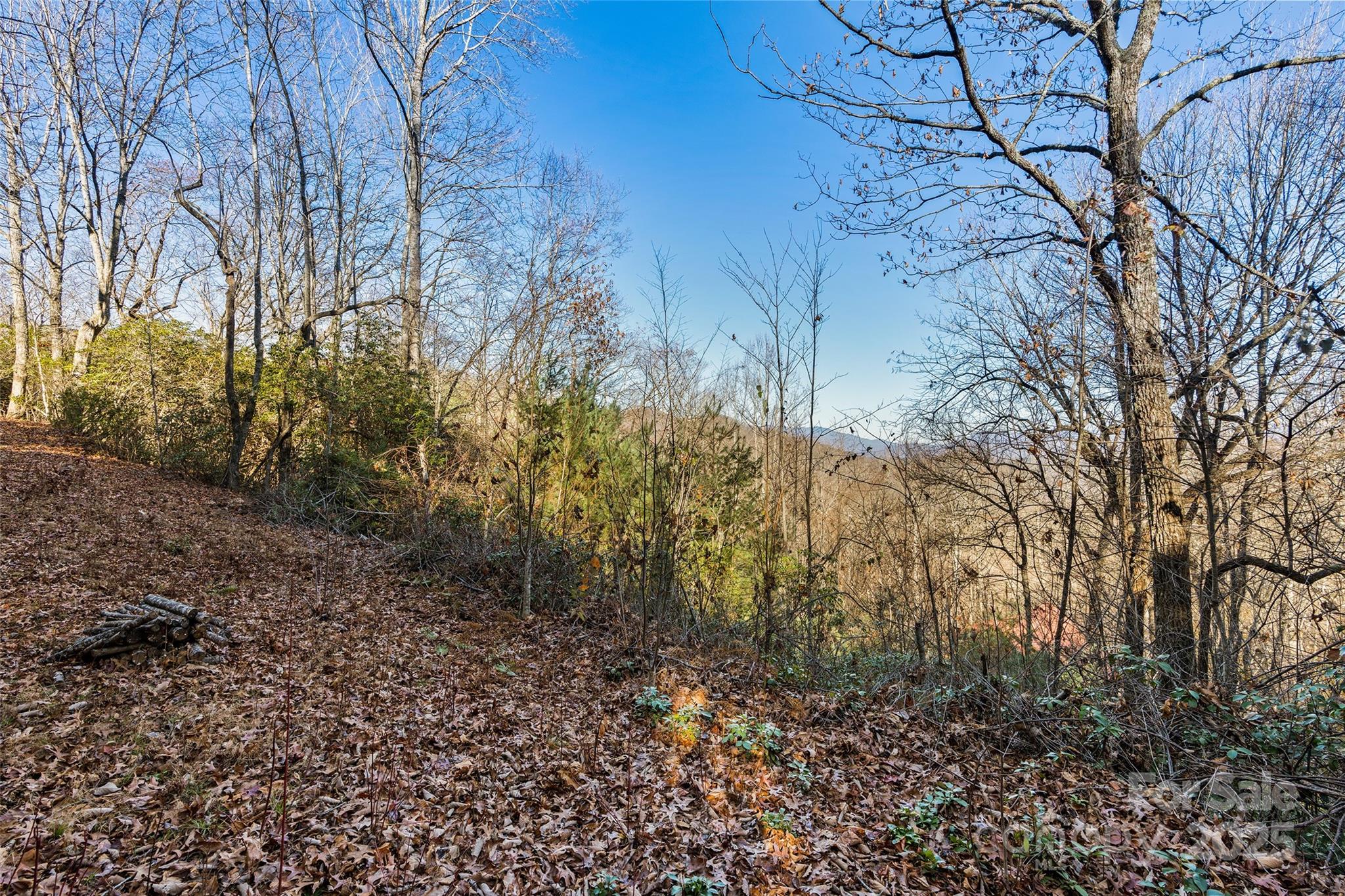 69-81 Winter Moon Ridge Sylva, NC 28779 - Photo 6 of 27 a view of a yard