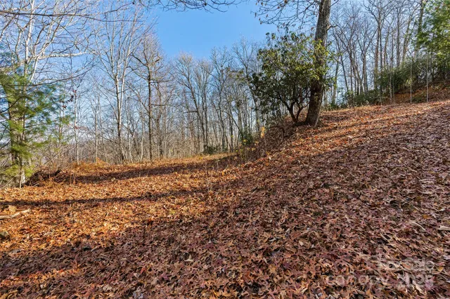 a view of backyard of a house