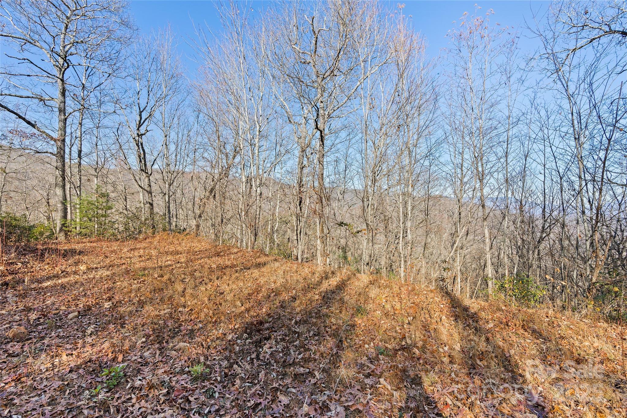 69-81 Winter Moon Ridge Sylva, NC 28779 - Photo 10 of 27 a backyard of a house with lots of green space