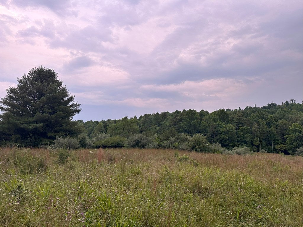 Tbd Claytor Road Northeast, Unit 17A7 Pilot, VA 24138 - Photo 15 of 16 Gallery Image 15