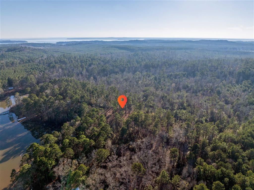 Lazy Point Trail Many, LA 71449 - Photo 6 of 20