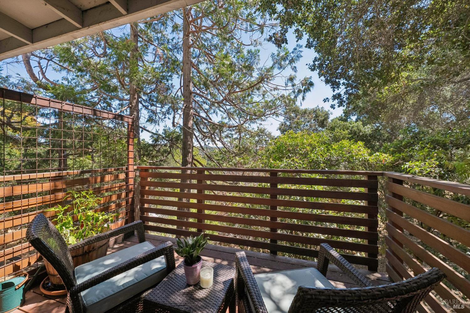 201 Ridgeway Avenue Fairfax, CA 94930 - Photo 29 of 52 Gallery Image 29
