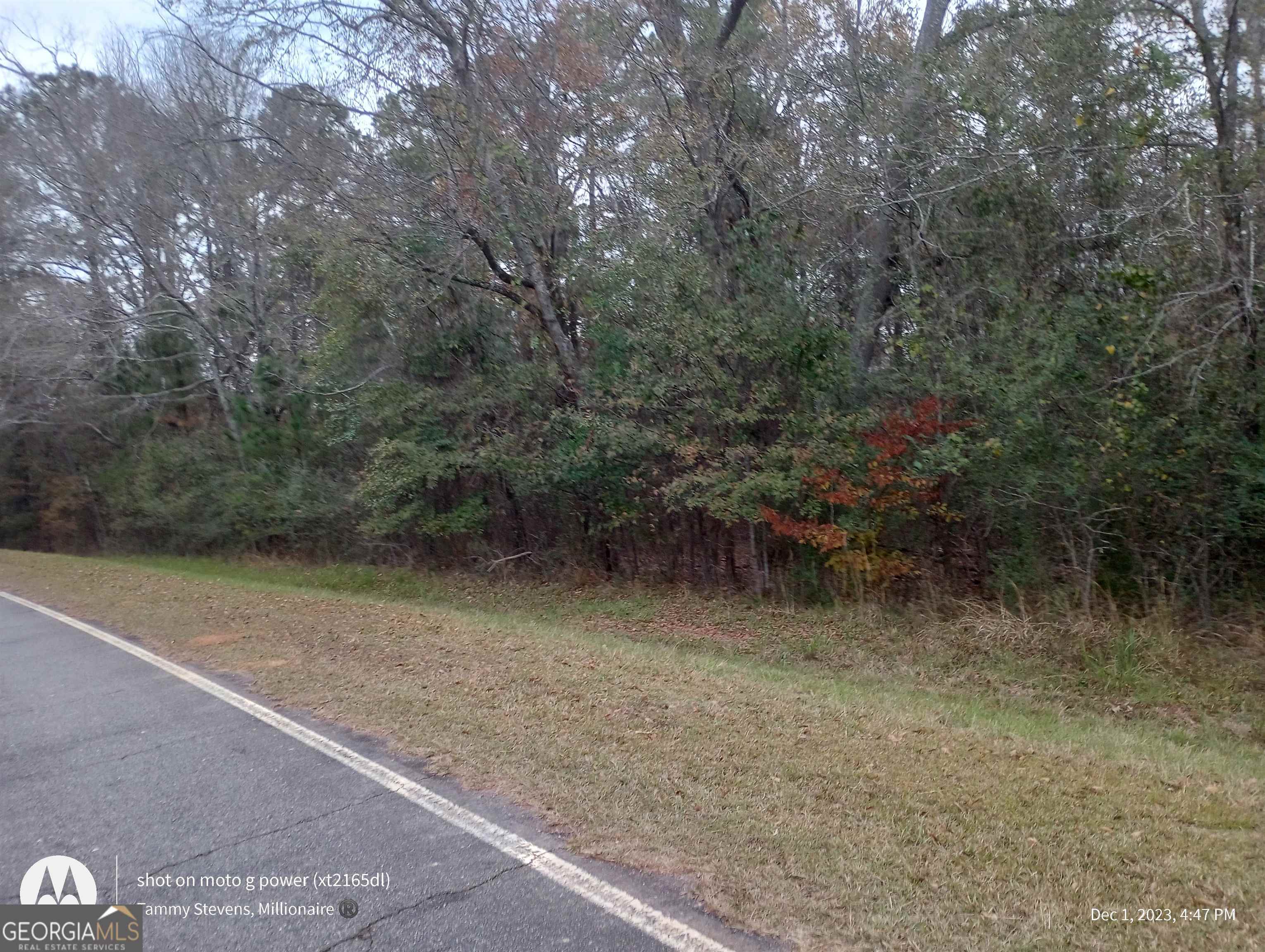 0 Pleasant Grove Road Sandersville, GA 31082 - Photo 1 of 1 a view of a forest with trees