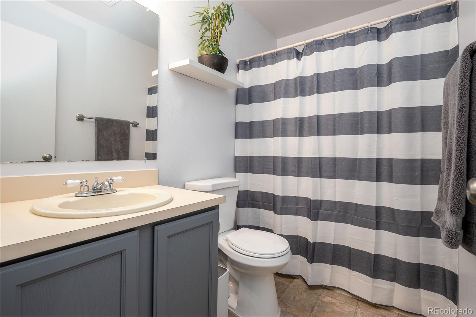 8741 Dawson Street, Unit 304 Denver, CO 80229 - Photo 14 of 27 a bathroom with a sink a toilet a mirror and shower curtain