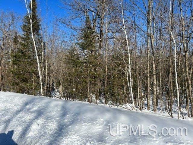 Tbd Lot#37 Tbd Road Bessemer, MI 49911 - Photo 4 of 6