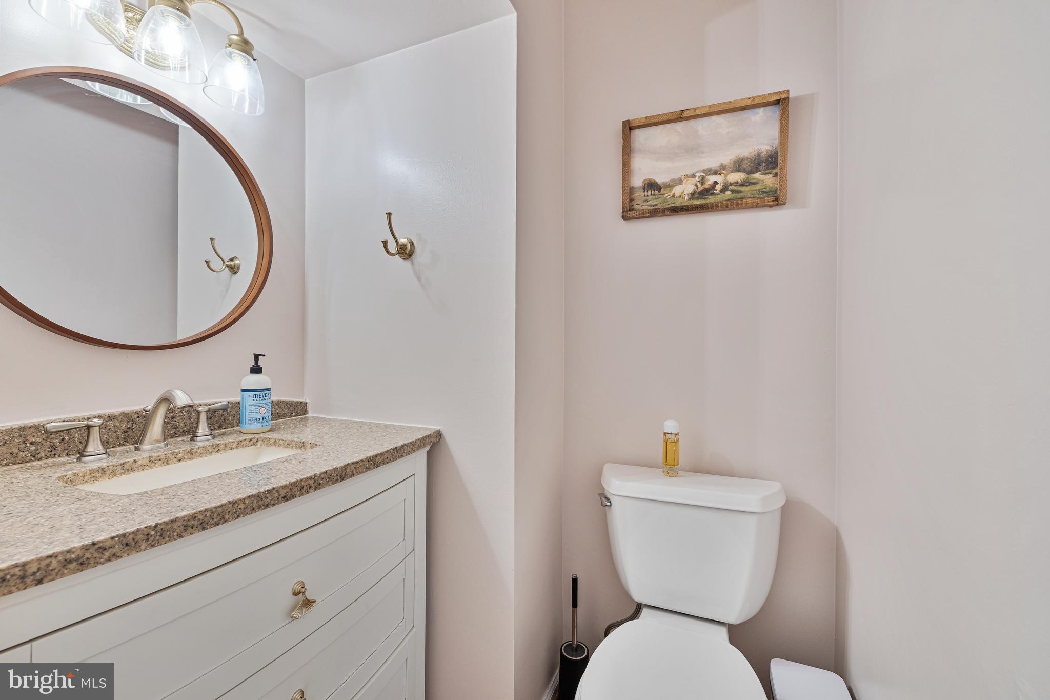 1439 Millikens Bend Road Herndon, VA 20170 - Photo 32 of 46 a bathroom with a toilet a sink and mirror