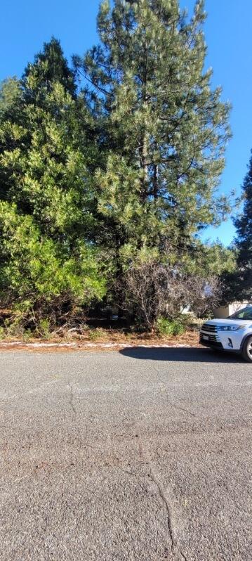 0 Holiday Rd Mount Mount Shasta, CA 96067 - Photo 5 of 10 Holiday Rd